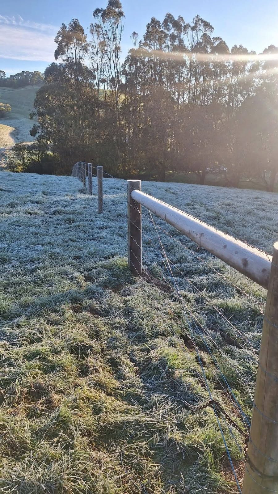 Frosty morning over a new post and wire fence line in South Gippsland