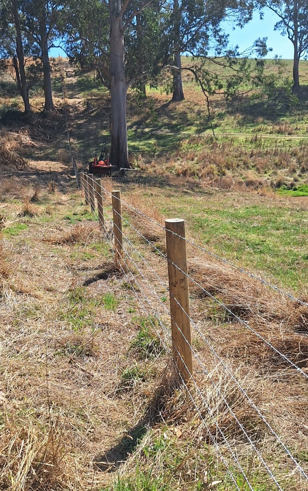 New barbed wire fence on timber posts running down a gully lined with gum trees