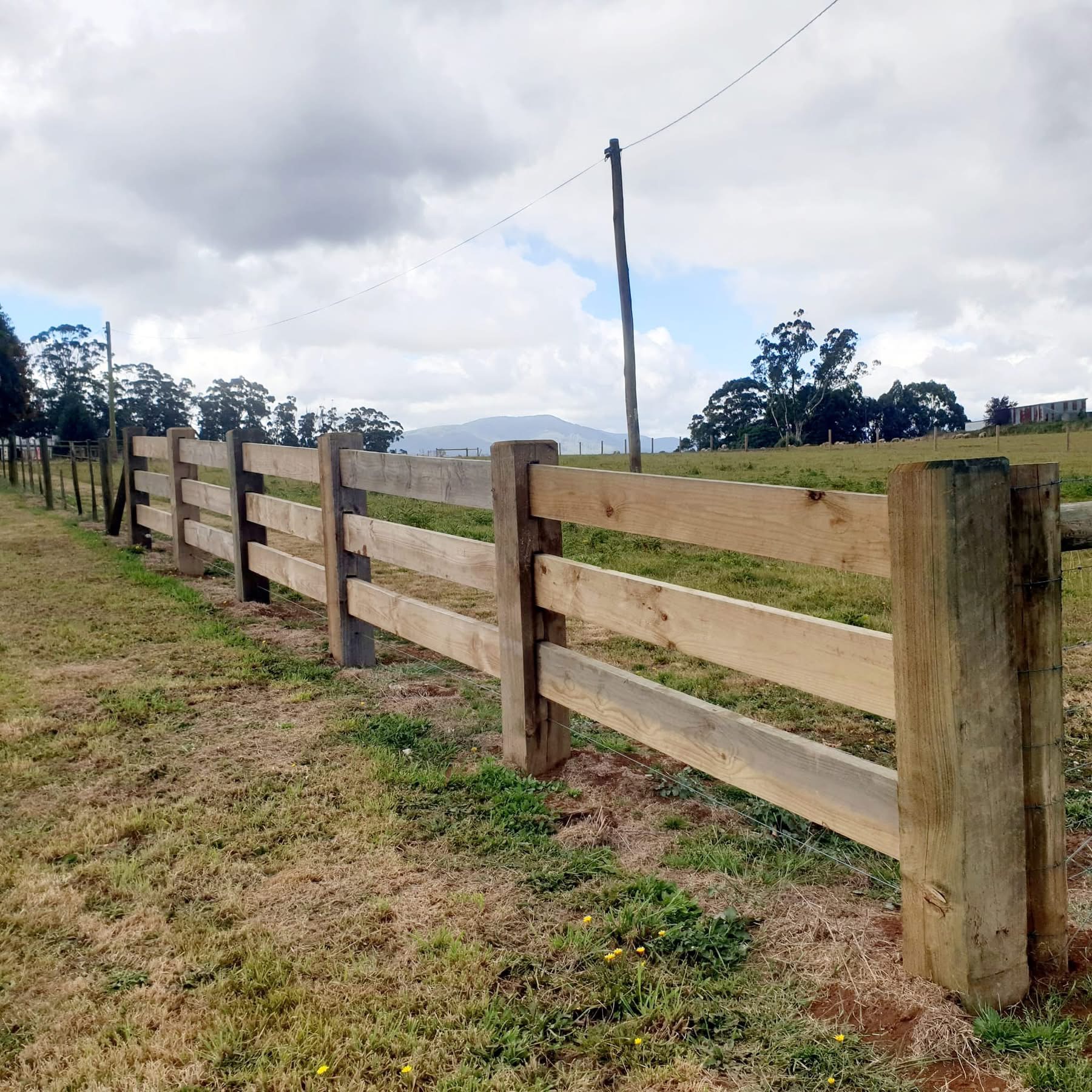 Timber farm fencing near shed in South Gippsland